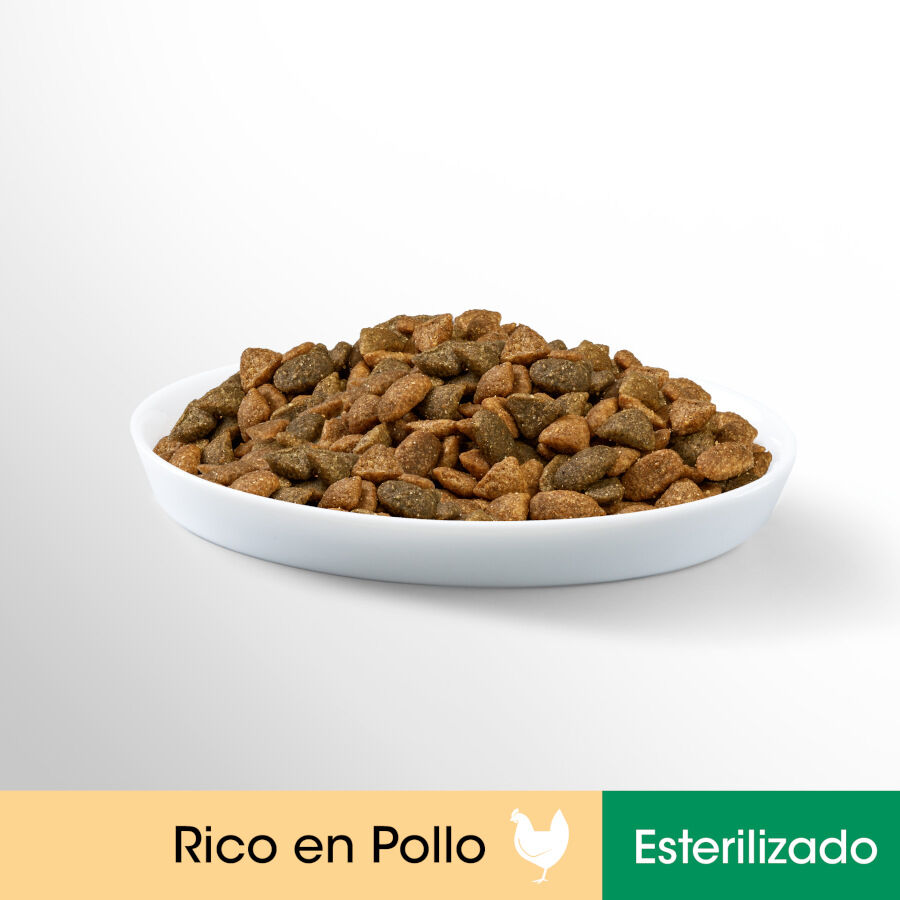 1.4 kg Perfect Fit Adult 1+ Esterilizado Pollo pienso para gatos, , large Imagen numero 5