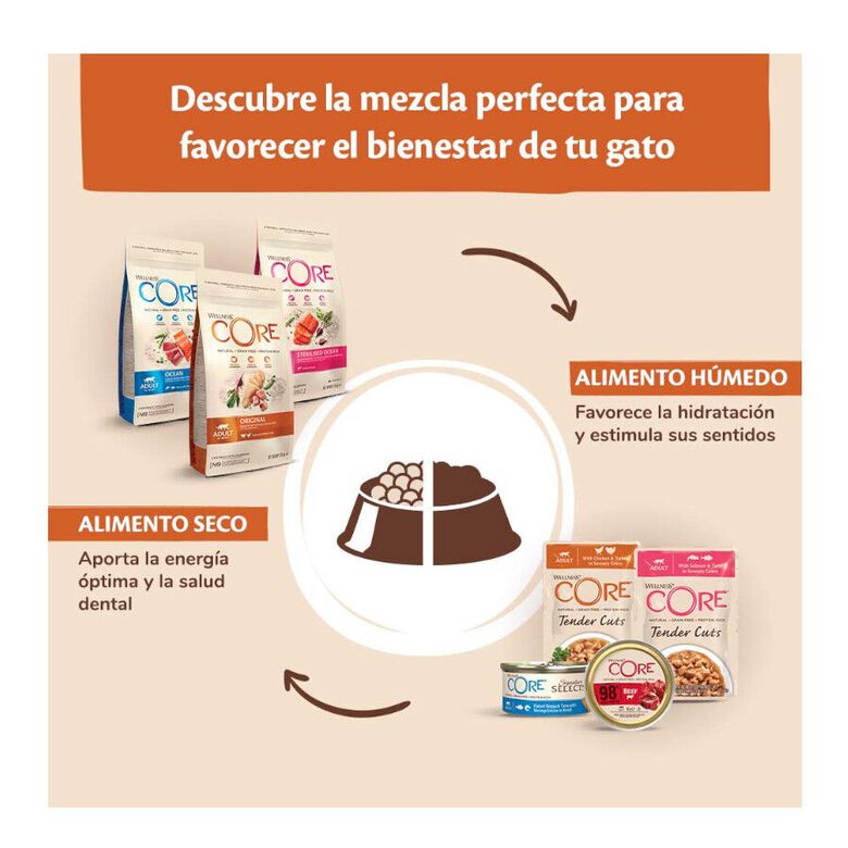 Wellness Core Single Protein Pollo y Jabalí tarrina para gatos thumbnail