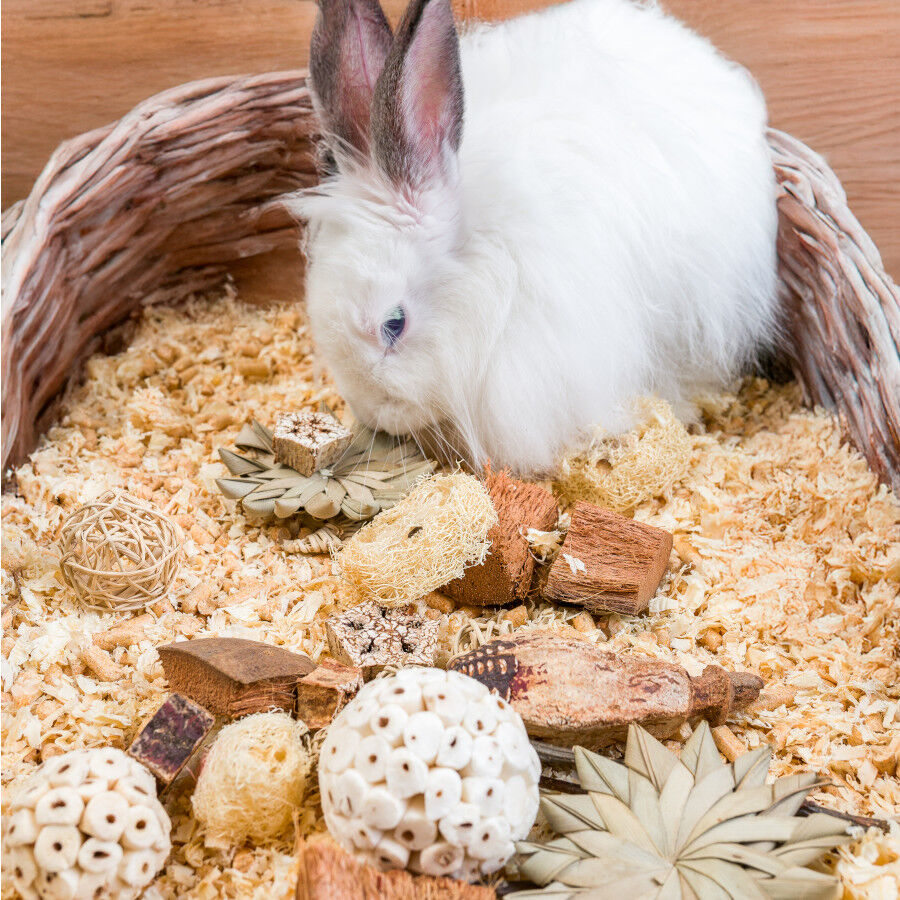 Quapas Nibble Caja Regalo Estrellas y Balones Juguete para roedores, , large Imagen numero 4