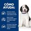 12 kg Hill's Prescription Diet Urinary Care c/d Pollo pienso para perros, , large indicador imagen numero 3