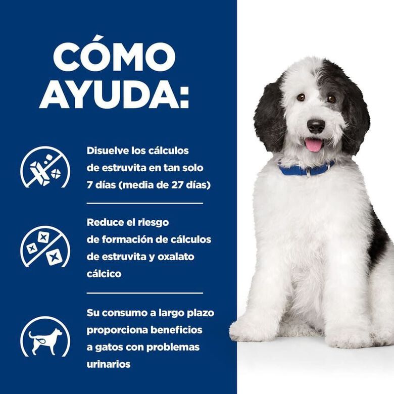 Hill&#039;s Prescription Diet Urinary Care c/d Pollo pienso para perros thumbnail