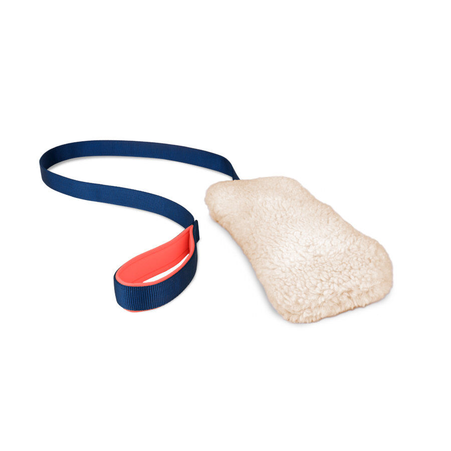 Coachi ChaseCrinkle juguete de persecusi&oacute;n para perros, , large Imagen numero 1