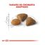 10 kg Royal Canin Adult Exigent Savour pienso para gatos, , large indicador imagen numero 3