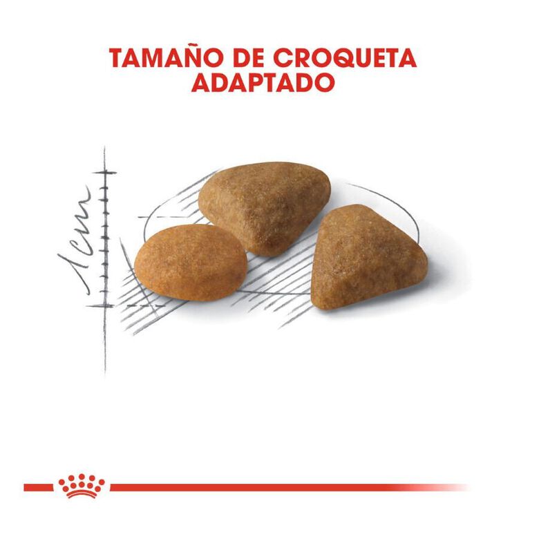 Royal Canin Adult Exigent Savour pienso para gatos thumbnail