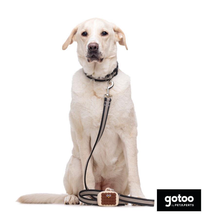 Gotoo Porta bolsas silicona marr&oacute;n para perros, , large Imagen numero 4