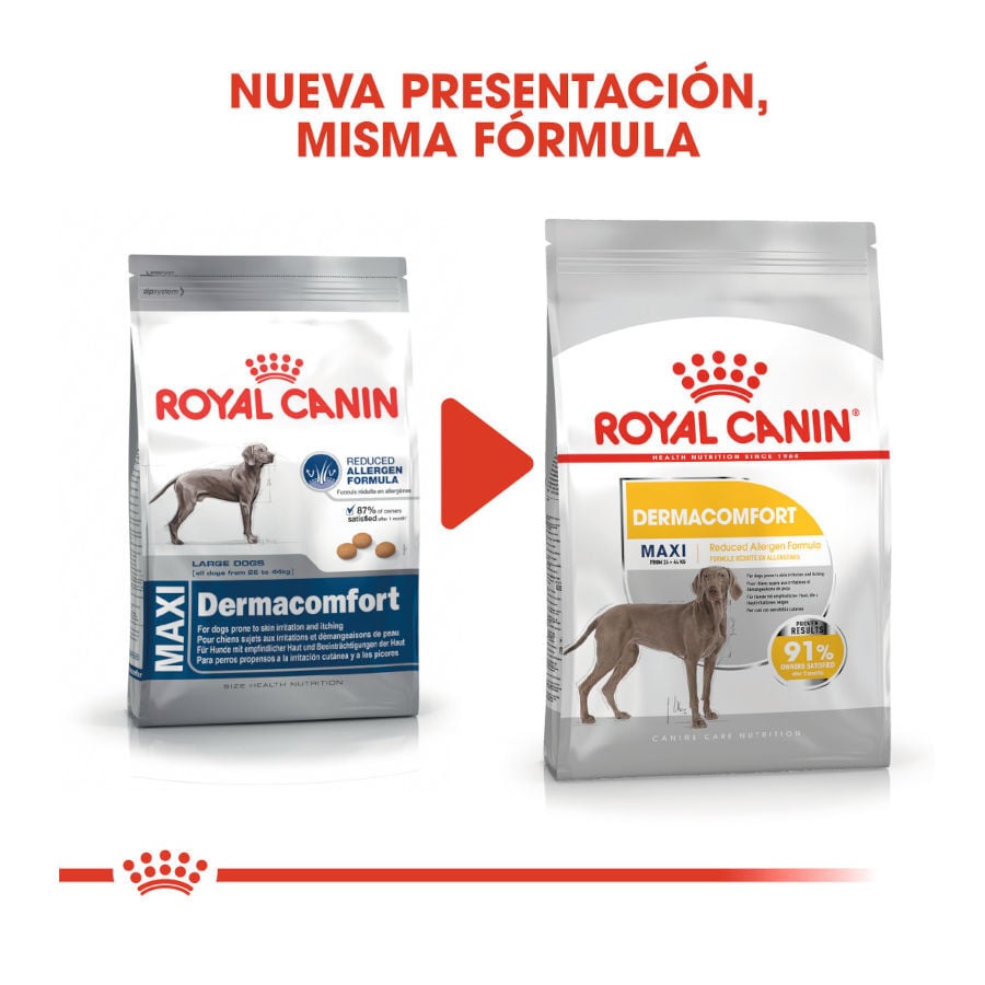 Royal Canin Dermacomfort Maxi pienso para perros thumbnail