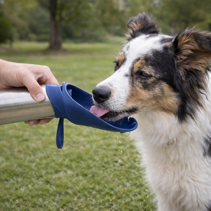 Gotoo Botella Bebedero Port&aacute;til de Acero Inoxidable Azul para perros, , large Imagen numero 1