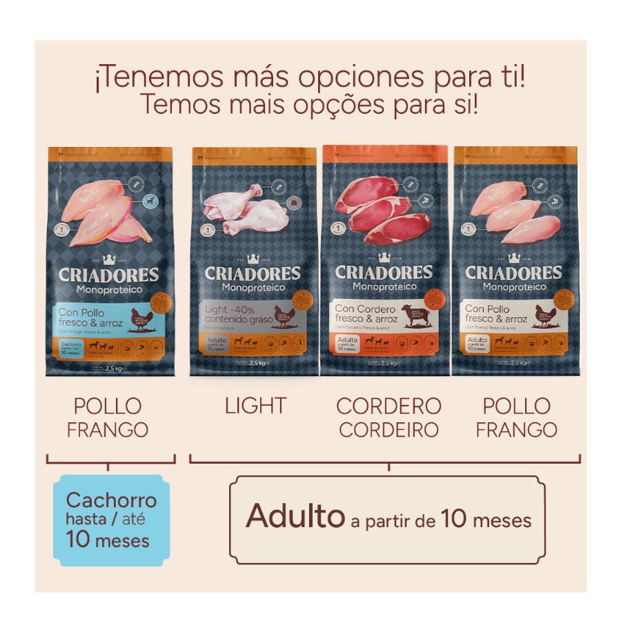 10 kg Criadores Monoproteico Adulto con Pollo pienso para perros, , large Imagen numero 12