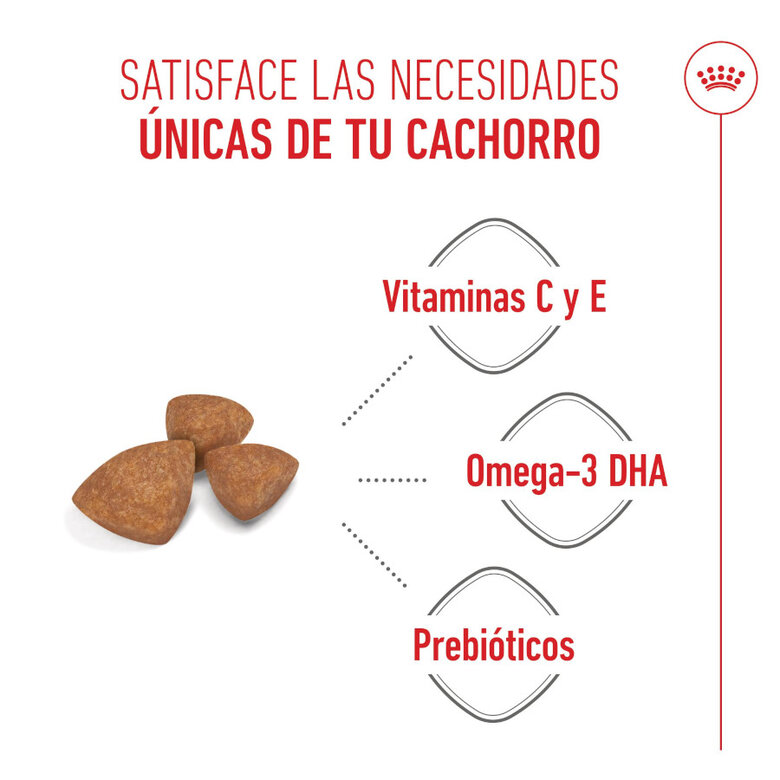 3 kg Royal Canin X-Small Puppy pienso para perros,  Imagen numero 4 3 kg Royal Canin X-Small Puppy pienso para perros, , large Imagen numero 4