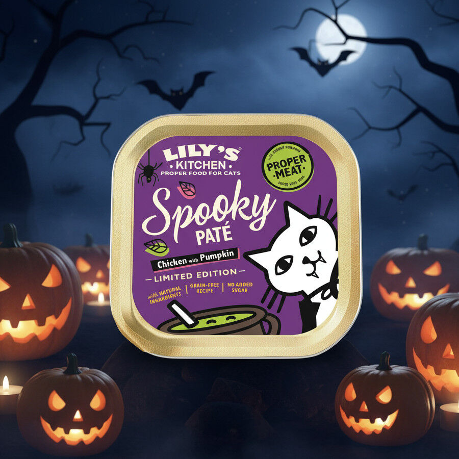 Lily's Kitchen Paté Pollo con Calabaza para gatos thumbnail