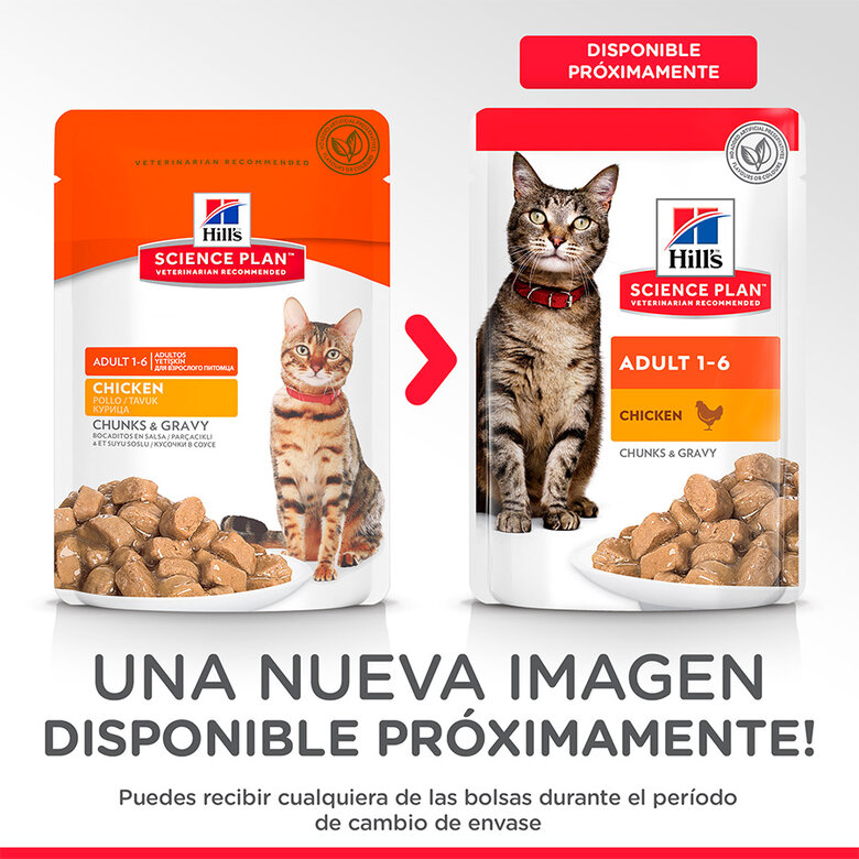 Hill's Science Plan Adult Pollo sobre para gatos, , large image number null