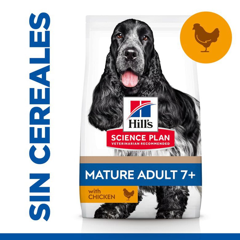 14 kg Hill's Science Plan Mature Adult 7+ Pollo pienso para perros,  Imagen numero 2 14 kg Hill's Science Plan Mature Adult 7+ Pollo pienso para perros, , large Imagen numero 2