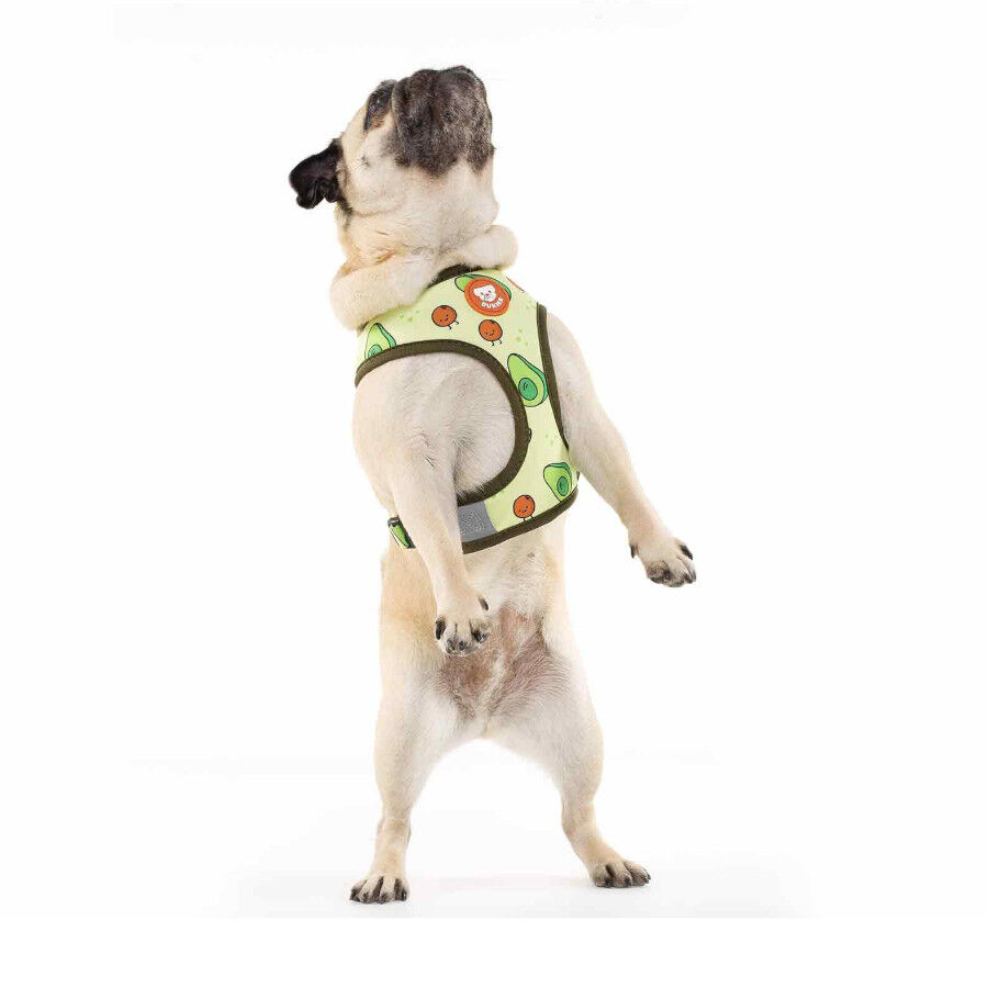 Dukier Avocado Arnés Reversible Estampado Aguacate para perros thumbnail