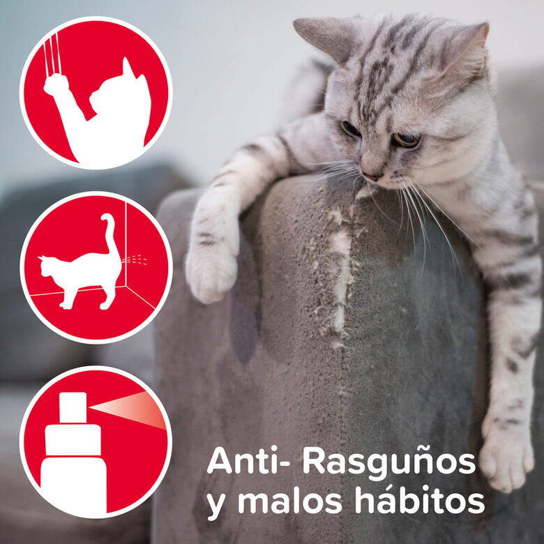 Beaphar Keep Off Spray Educador interior Anti-arañazos para gatos,  Imagen numero 2 Beaphar Keep Off Spray Educador interior Anti-arañazos para gatos, , large Imagen numero 2