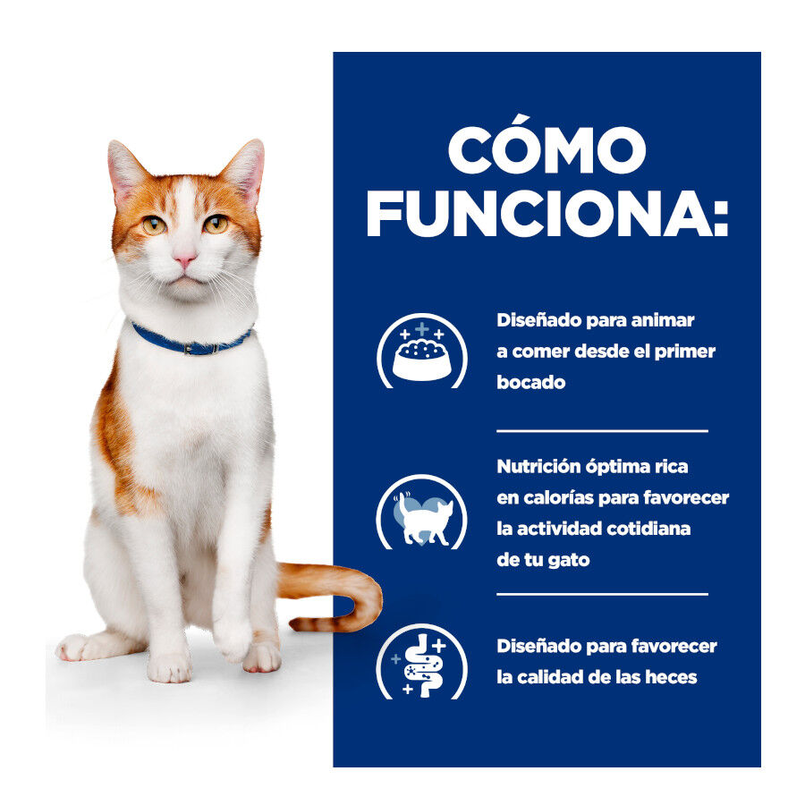 Hill&#039;s Prescription Diet Feline Estofado con Pollo y Verduras para Gatos Adultos thumbnail