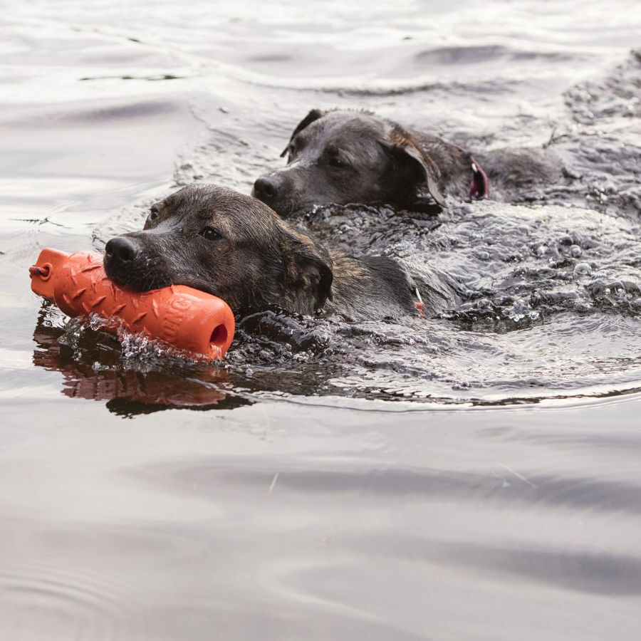 Kong Training Dummy cilindro de juguete para perros, , large Imagen numero 2