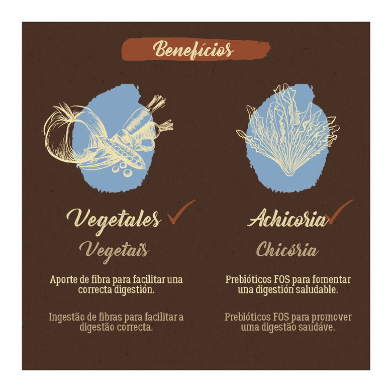 12 kg True Origins Pure Puppy Salmón pienso para cachorros,  Imagen numero 6 12 kg True Origins Pure Puppy Salmón pienso para cachorros, , large Imagen numero 6