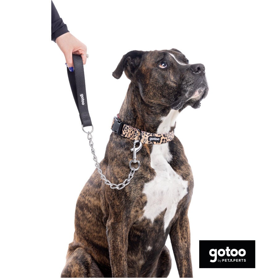 Gotoo Collar estampado leopardo para perros, , large Imagen numero 9