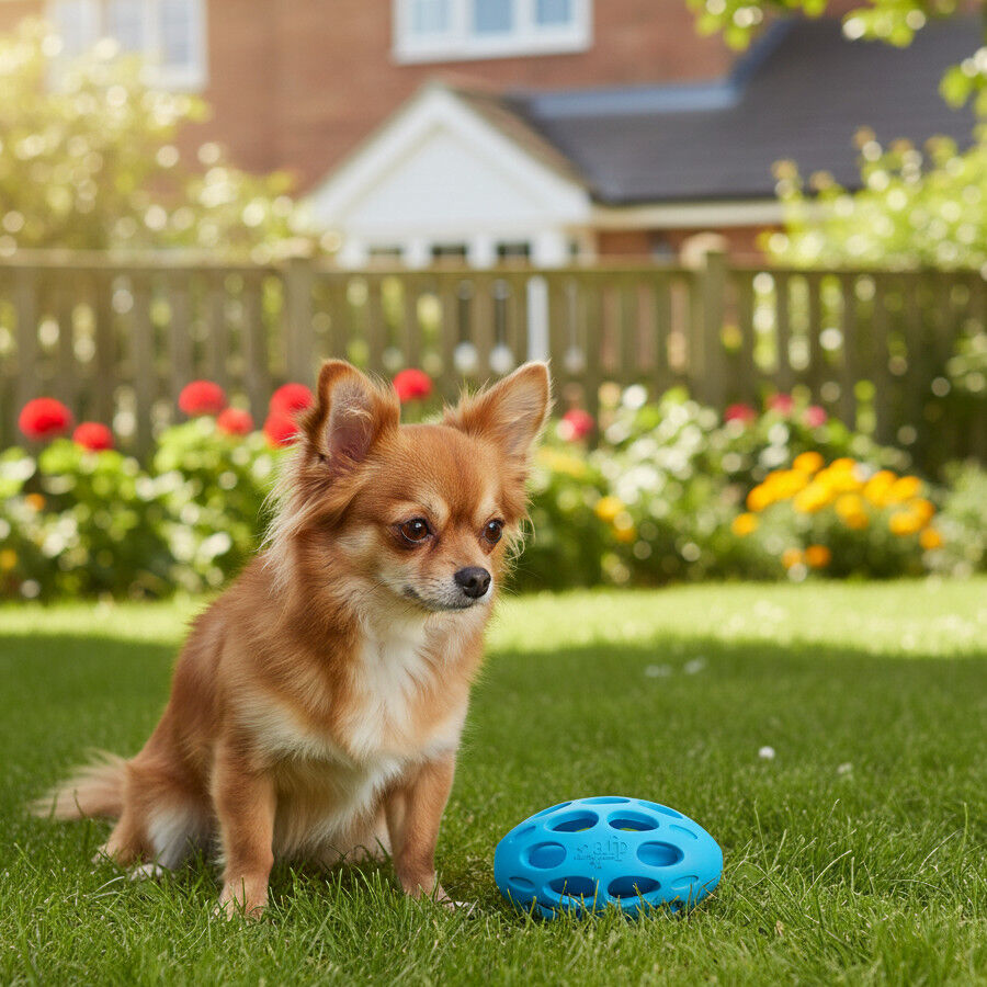 All For Paws Meta Ball Pelota Azul Juguete para perros, , large Imagen numero 1