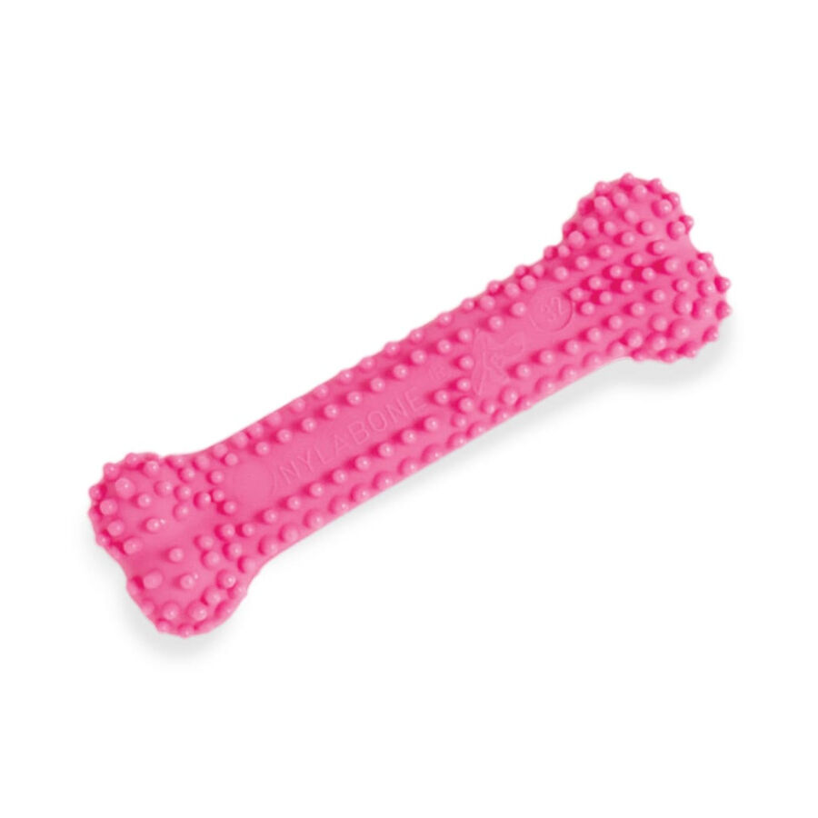 Nylabone Hueso Mordedor Dental Rosa Sabor a Pollo para cachorros, , large Imagen numero 1