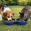 Gotoo Comedero Port&aacute;til Doble de Silicona Azul para perros y gatos, , large indicador imagen numero 1