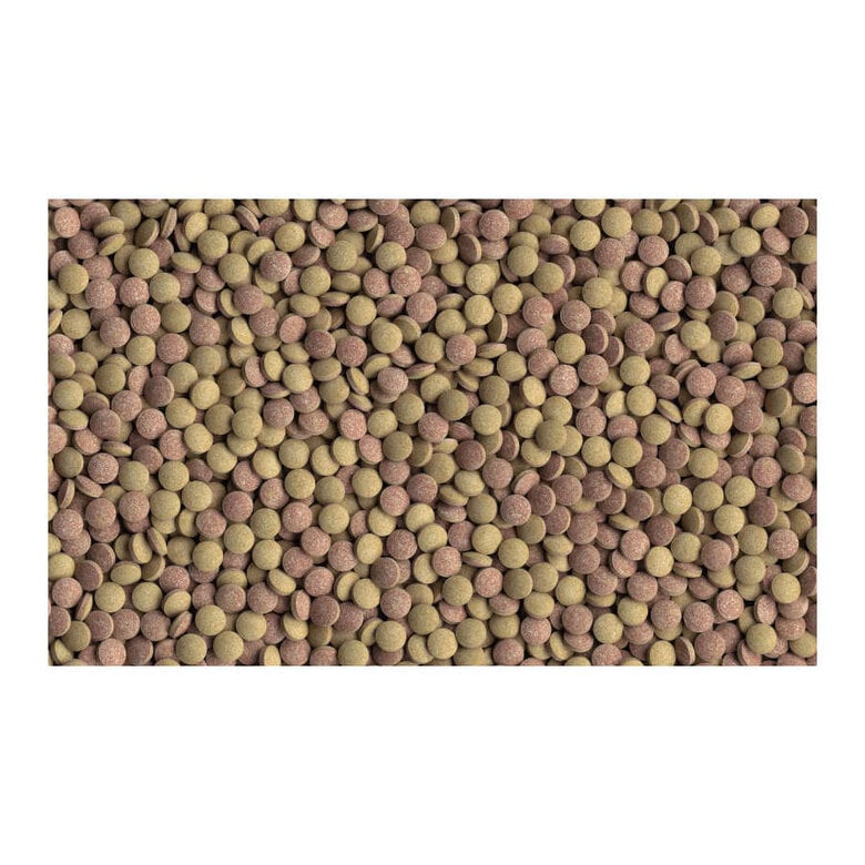 Tetra TabiMin Tabletas para peces,  Imagen numero 2 Tetra TabiMin Tabletas para peces, , large Imagen numero 2