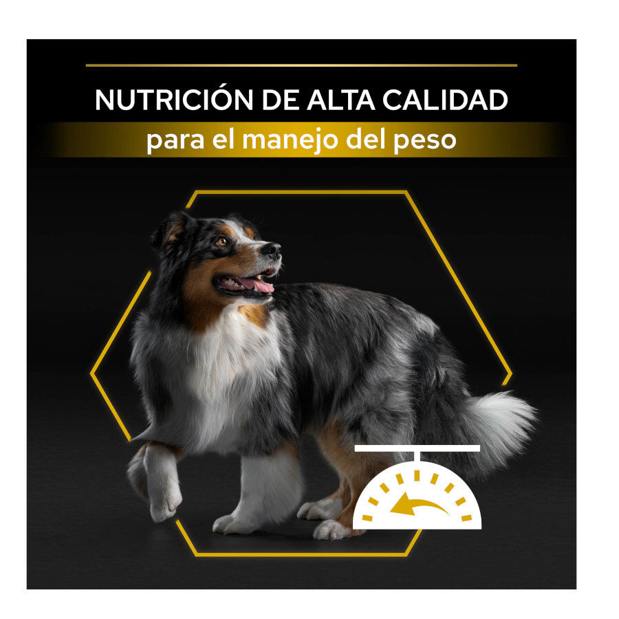 Pro Plan Adult Light/Sterilised Pollo pienso para perros thumbnail