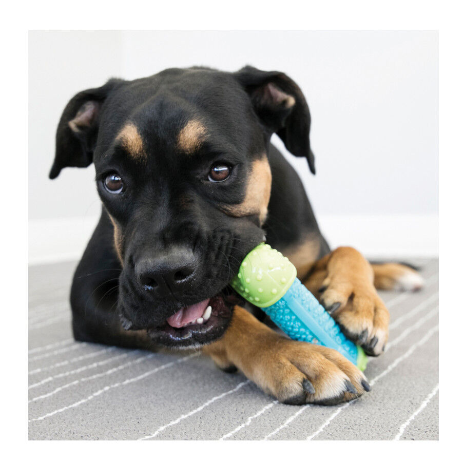 Kong Corestrength Hueso para perros, , large Imagen numero 2