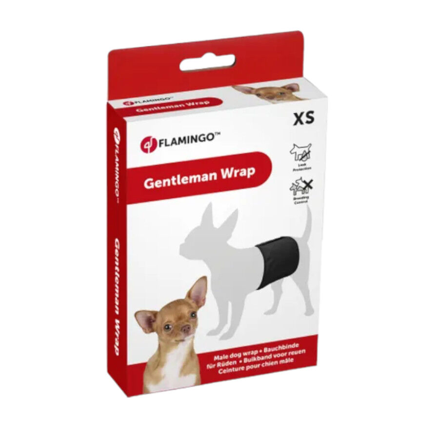 Flamingo Pañal Lavable para perros machos