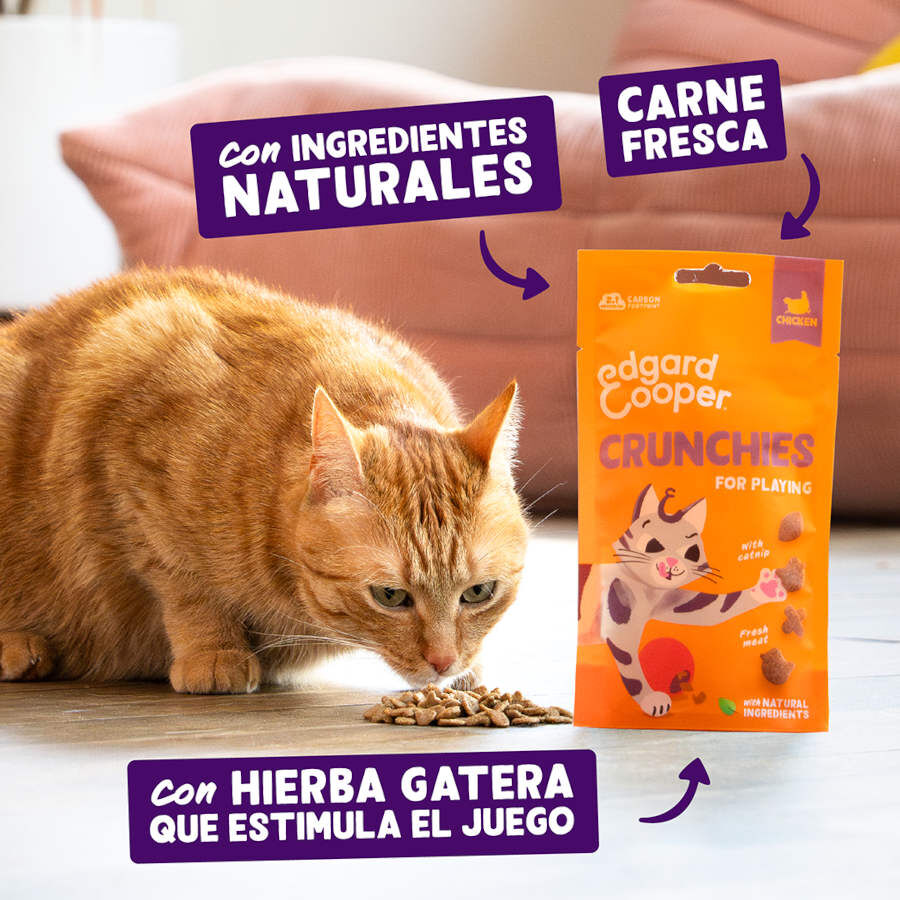 Edgard &amp; Cooper Galletas Crunchies Pollo para gatos thumbnail