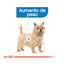 85 g Royal Canin Light Weight Care Sobres Paté para perros, , large indicador imagen numero 4