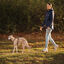 Non-stop Dogwear Correa Turquesa y Roble para perros, , large indicador imagen numero 2