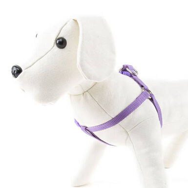 Nayeco Basic Arnés Lila para perros