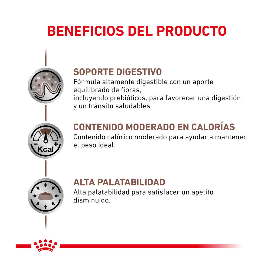 Royal Canin Veterinary Gastrointestinal Moderate Calorie pienso para gatos thumbnail