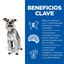 2.5 kg Hill's Science Plan Light Mature Adult small y mini pollo pienso para perros, , large indicador imagen numero 3