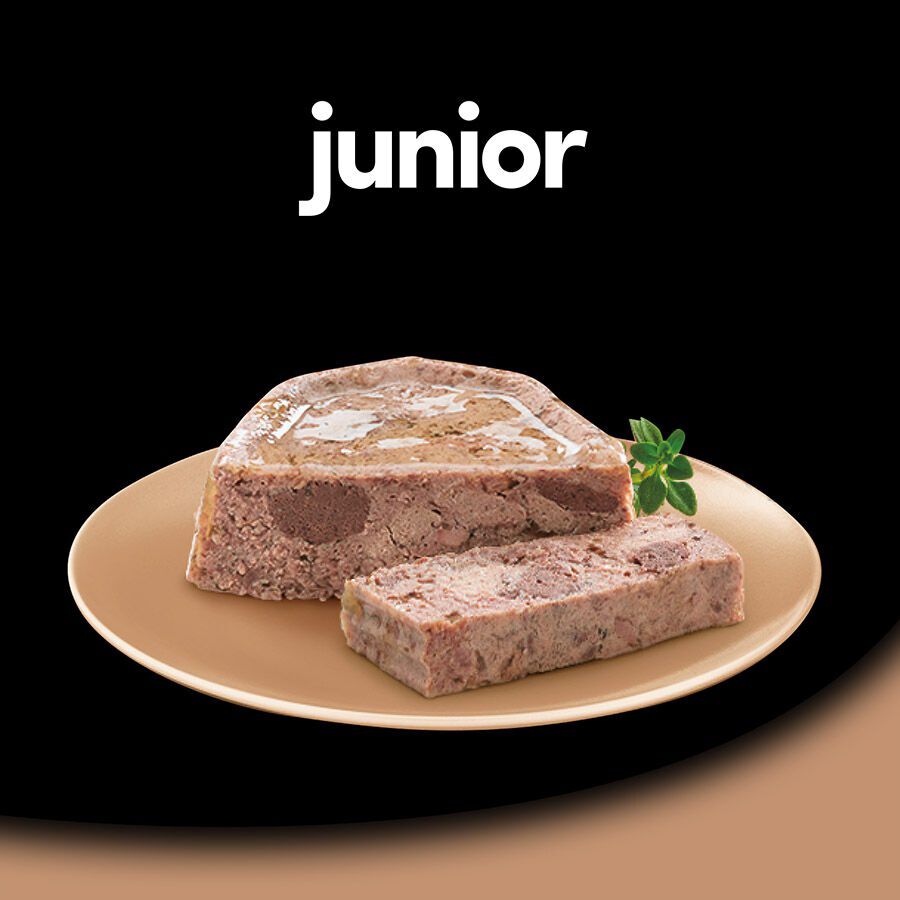 150 g Cesar Pavo y Ternera Tarrina en Gelatina para Cachorros, , large Imagen numero 4