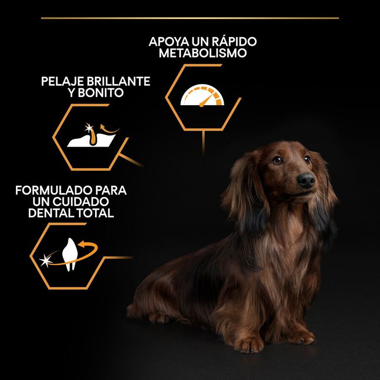 Pro Plan Adult Small y Mini Pollo pienso para perros thumbnail