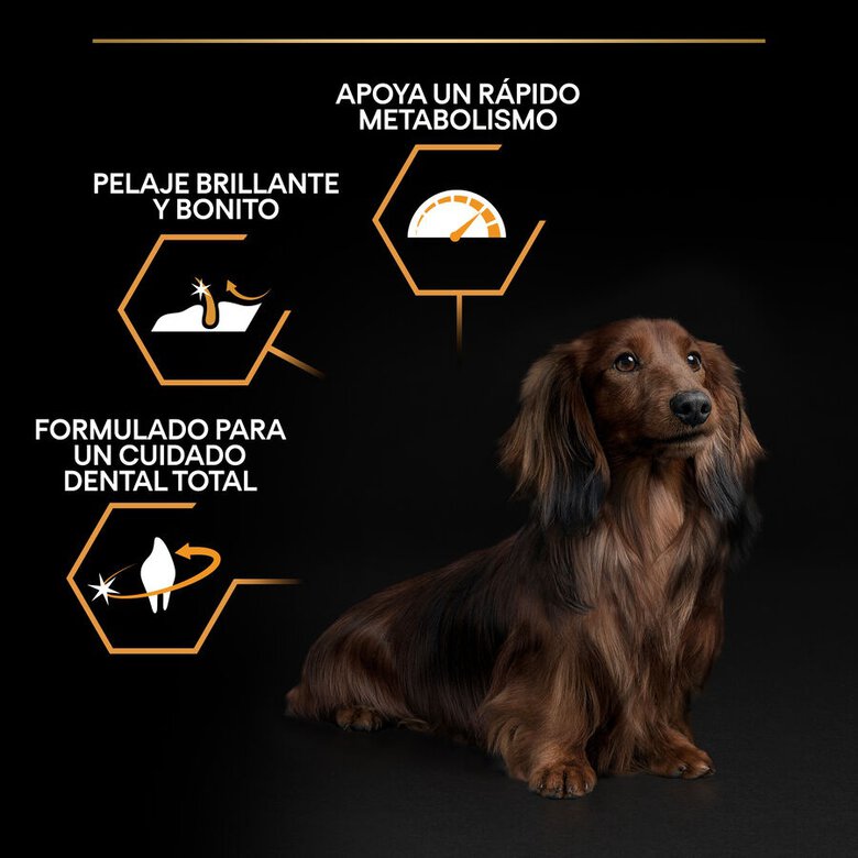 3 kg Pro Plan Adult Small y Mini Pollo pienso para perros,  Imagen numero 3 3 kg Pro Plan Adult Small y Mini Pollo pienso para perros, , large Imagen numero 3