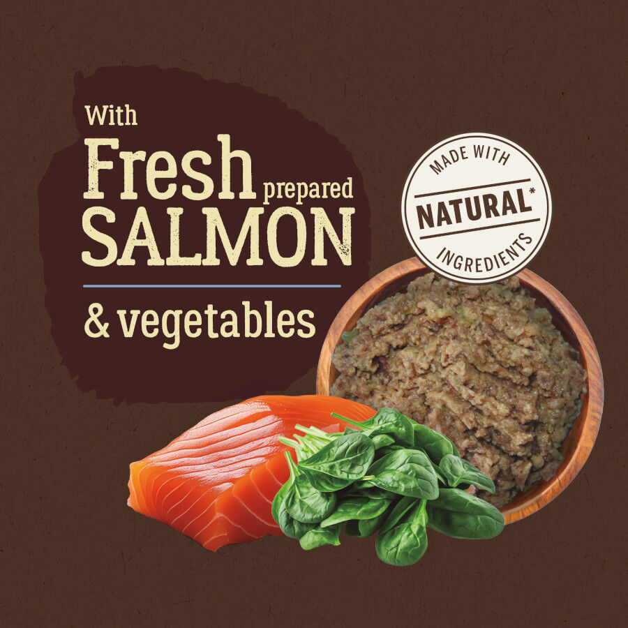 True Origins Pure Salmón lata para Perros thumbnail