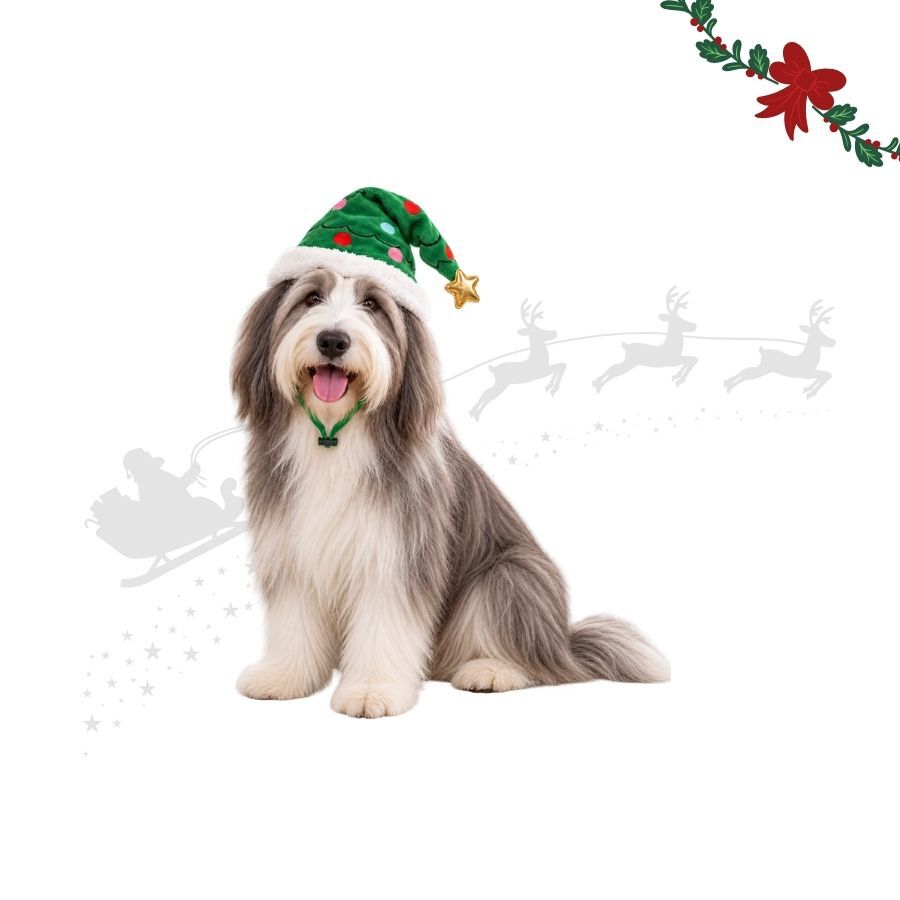 Wonder Christmas Gorro &Aacute;rbol Navidad para perros, , large Imagen numero 1