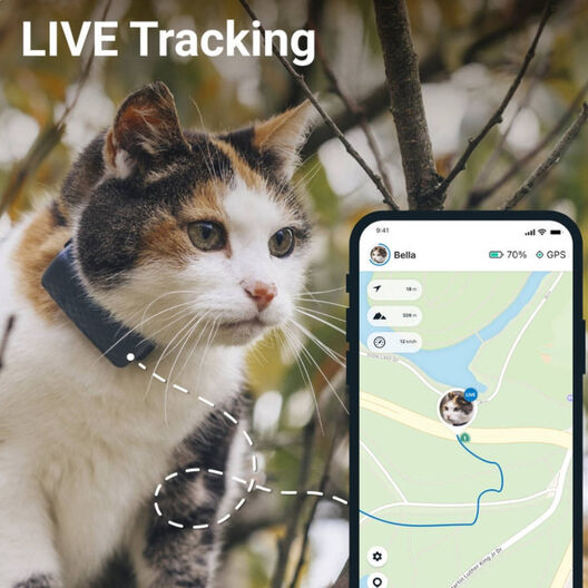 Weenect Localizador GPS para gatos - Cangos