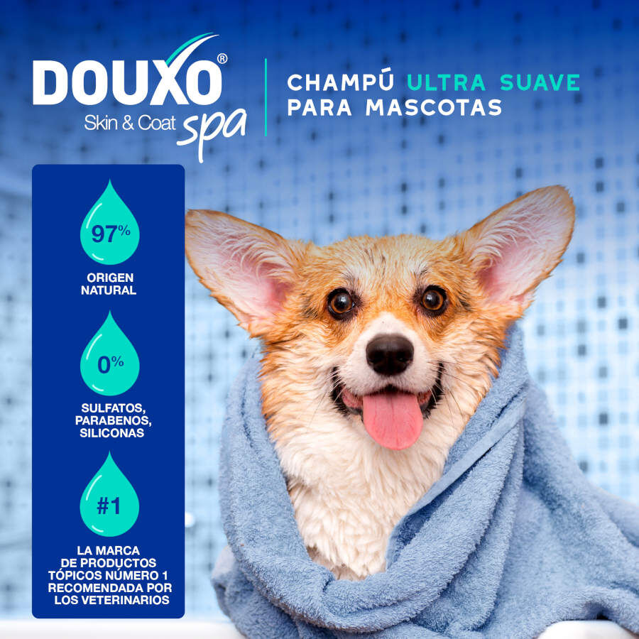 Ceva Douxo Spa Champú Antiolor para perros thumbnail