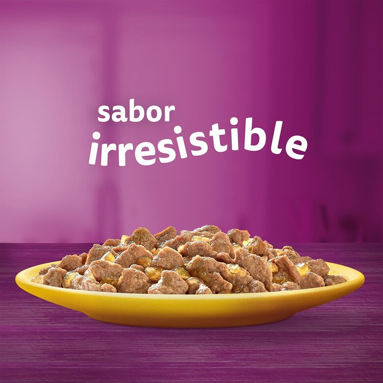 4 sobres x 85 g Whiskas Selección Aves Gelatina en Bolsita para Gatos Senior,  Imagen numero 2 4 sobres x 85 g Whiskas Selección Aves Gelatina en Bolsita para Gatos Senior, , large Imagen numero 2