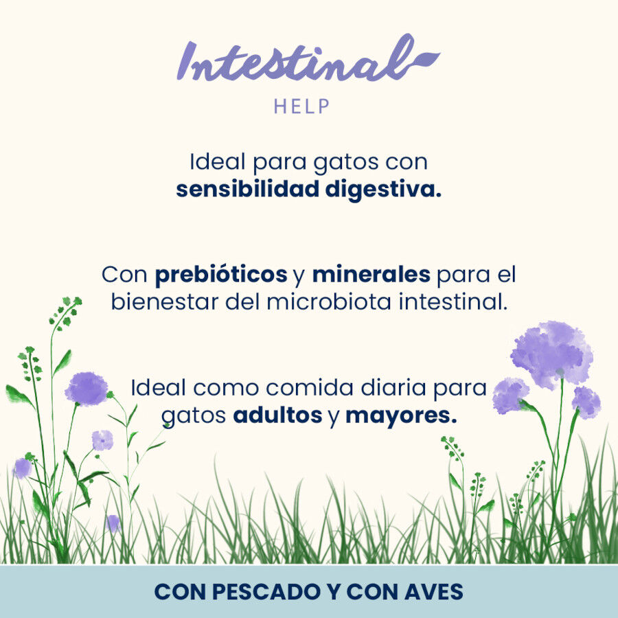 Almo Nature Intestinal Help Pescado y Aves sobre para gatos - Multipack thumbnail