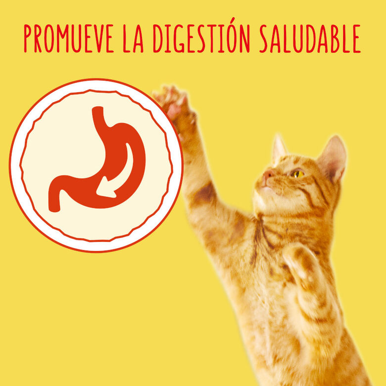 Friskies Conejo y Pollo pienso para gatos thumbnail