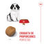 15 kg Royal Canin Puppy Giant pienso para perros, , large indicador imagen numero 5