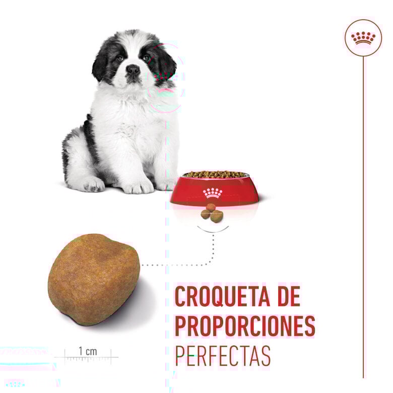 15 kg Royal Canin Puppy Giant pienso para perros,  Imagen numero 5 15 kg Royal Canin Puppy Giant pienso para perros, , large Imagen numero 5