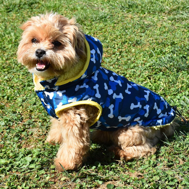 Nayeco Abrigo Acolchado Paws Print Azul para perros — Azul · S / T30 · lomo 30 cm, pecho 44 cm, cuello 29 cm