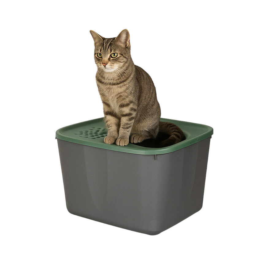 Nice Care Eco Arenero Micia Verde para gatos