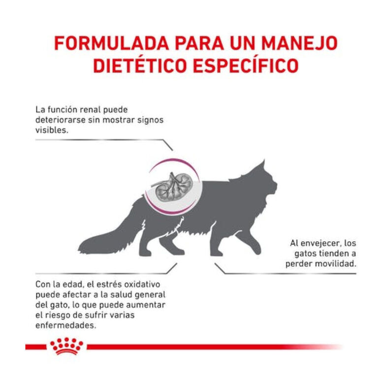 Royal Canin Veterinary Early Renal pienso para gatos thumbnail